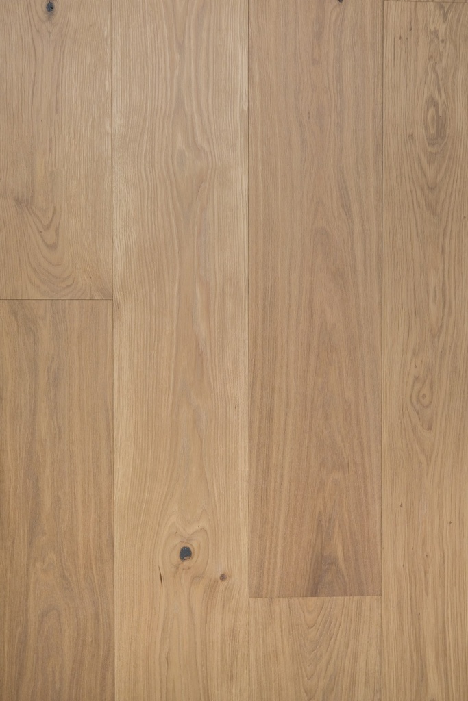 S-006 Bevin